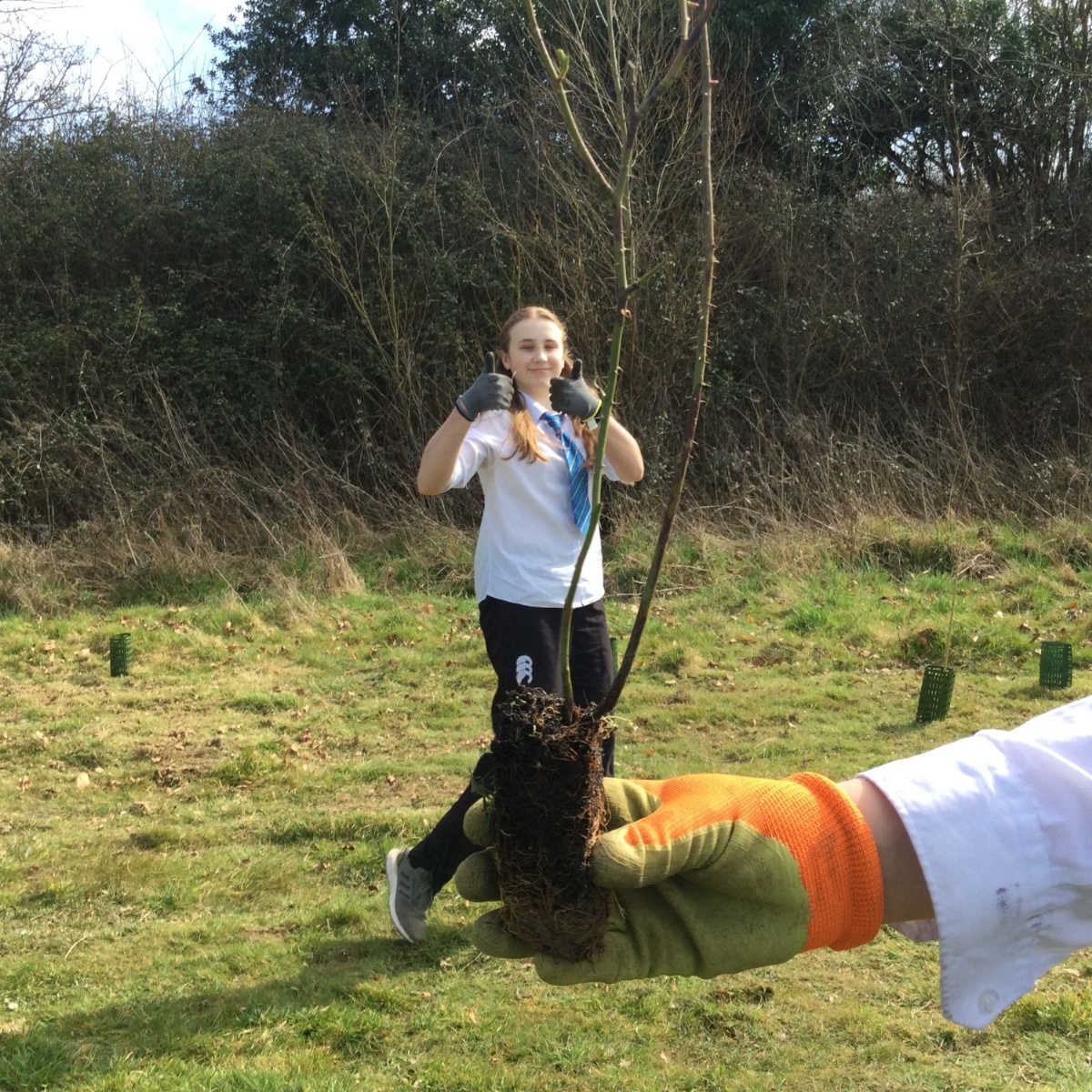 Balcarras School - Tree Planting